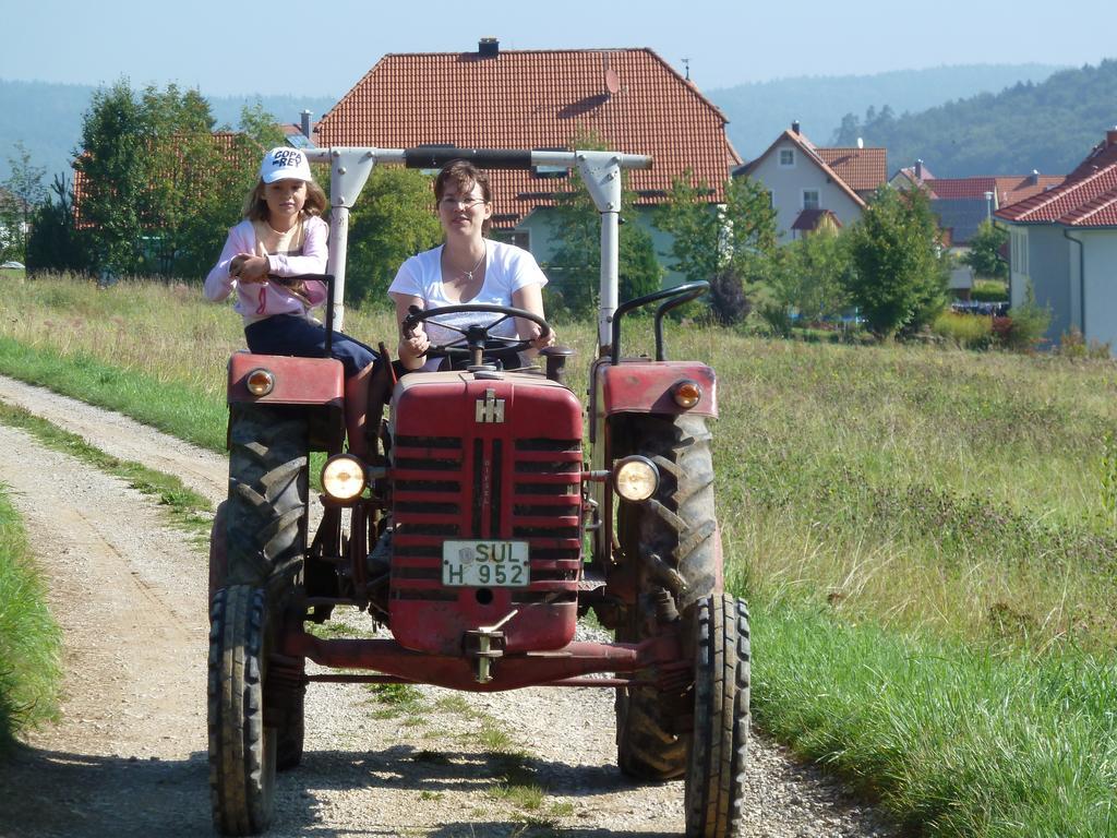 Landgasthof Zum Elsabauern Konigstein in der Oberpfalz ภายนอก รูปภาพ